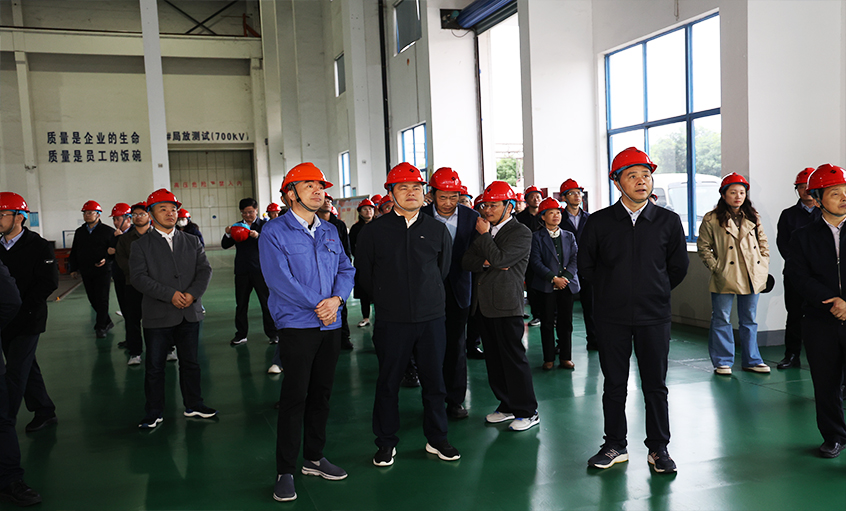 安徽池州青陽(yáng)縣黨政代表團(tuán)一行來(lái)上上電纜考察