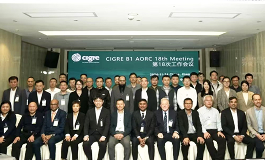 上上電纜受邀出席CIGRE絕緣電纜專委會亞太區(qū)第18次年會并做專題發(fā)言
