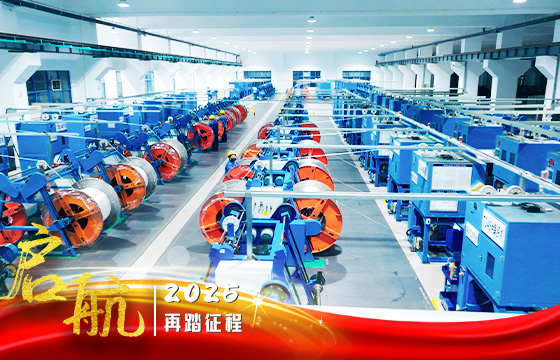 1738746885306458tLVb.jpg 電.jpg