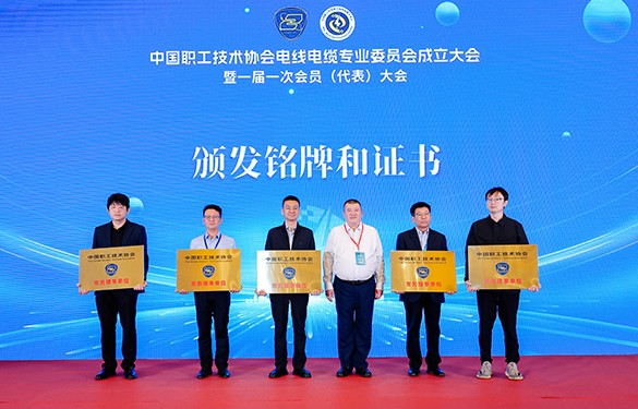 1745228268767254VkeK.jpg 1745228268767254VkeK.jpg